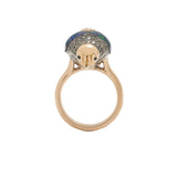 Scarab Pop Art Ring Rings Bibi van der Velden